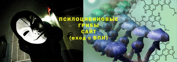 мяу мяу мука Россошь