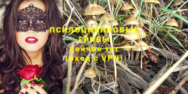 мяу мяу мука Россошь