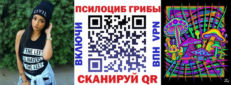 mega вход  Шахты  сайты даркнета как зайти  Галлюциногенные грибы Psilocybe 