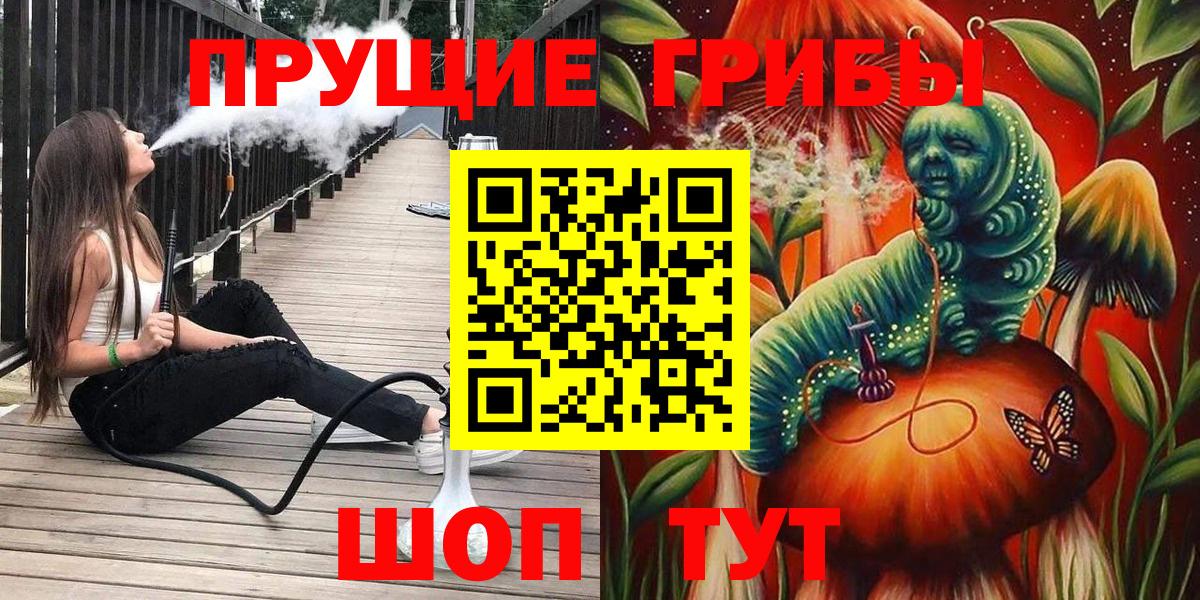 Псилоцибиновые грибы Cubensis  Вход с VPN  сколько стоит  Шахты  Галлюциногенные грибы MAGIC MUSHROOMS 